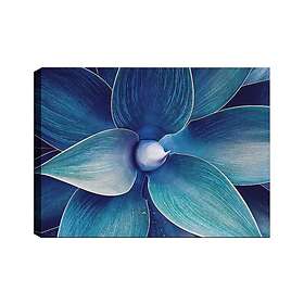 Dekorativ Canvastavla 70x100 cm Flerfärgad 441HPE1637