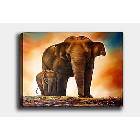 Dekorativ Canvastavla 70x100 cm Flerfärgad 441HPE2637