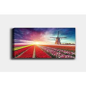 Dekorativ Canvastavla 70x100 cm Flerfärgad 441HPE2706