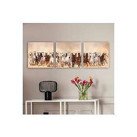 Dekorativ Canvastavla 3-Delar 30x30 cm Flerfärgad 564RMY1278