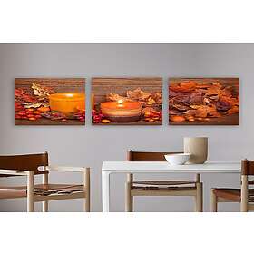 Dekorativ Canvastavla 3-Delar 30x30 cm Flerfärgad 564RMY1225