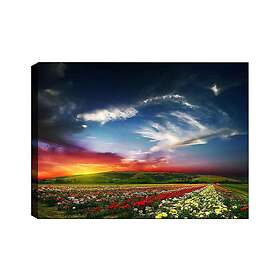 Dekorativ Canvastavla 70x100 cm Flerfärgad 441HPE2720