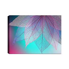 Dekorativ Canvastavla 70x100 cm Flerfärgad 441HPE2724