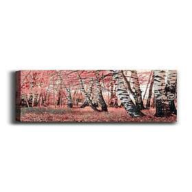 Dekorativ Canvastavla 70x100 cm Flerfärgad 529TCR1502