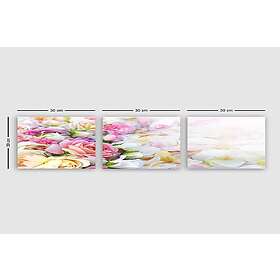 Dekorativ Canvastavla 3-Delar 30x30 cm Flerfärgad 564RMY1283