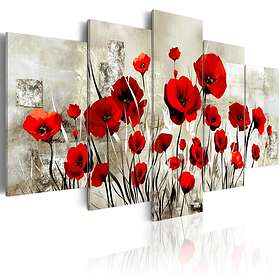 Arkiio Akrylglastavla Scarlet Field Foto på akryl [Glass] 100x50 A3-Acrylglasbild245