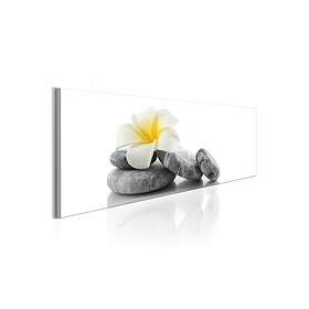 Tavla Lotus 120x40 Artgeist sp. z o. TM-N6570