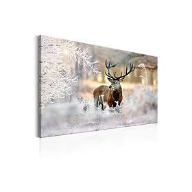 Tavla Deer In The Cold 90x60 sp. z o. TM-N7055-DKX