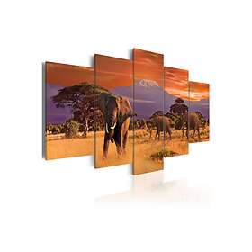 Tavla Africa Elephants 100x50 sp. z o. TM-N3071