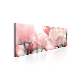 Tavla Pink Tulips 120x40 sp. z o. TM-N5561