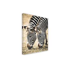 Zebror Canvastavla 75x100 cm Flerfärgad 33633