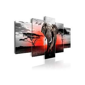Tavla Lonely Elephant 200x100 sp. z o. TM-N7051-DK