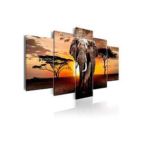 Tavla Elephant Migration 200x100 sp. z o. TM-N7049-DK