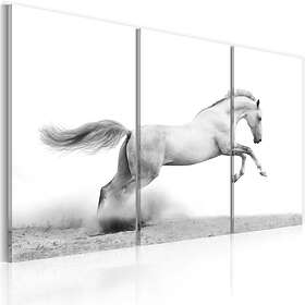 Tavla A Galloping Horse 60x40 sp. z o. TM-N1400