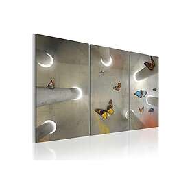 Tavla Be Free 120x80 sp. z o. TM-N2410-DKX