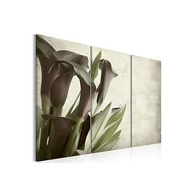 Tavla Callas 60x40 Artgeist sp. z o. TM-N1602