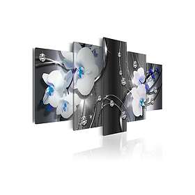 Tavla Depths Of Imagination 200x100 sp. z o. TM-N3873-DKX