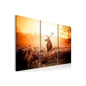 Tavla Deer In The Sun 90x60 sp. z o. TM-N7086-DKX