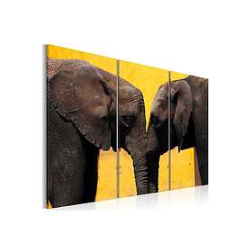 Tavla Elephant Kiss 120x80 sp. z o. TM-N1528-DKX