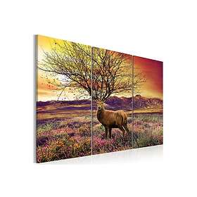 Tavla Fancy Hjorthorn Triptych 60x40 sp. z o. TM-N2267