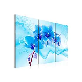 Tavla Orchid Blue 60x40 Artgeist sp. z o. TM-N2978