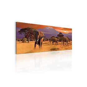 Tavla March Of African Elephants 120x40 sp. z o. TM-N3098