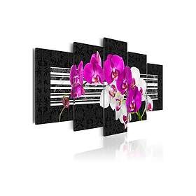 Tavla Modest Orchids 100x50 sp. z o. TM-N2986