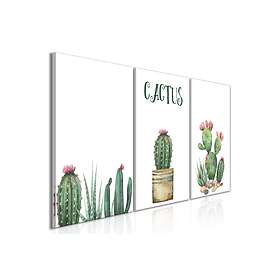 Tavla Prickly 3 Parts 120x60 Artgeist sp. z o. TM-N8126