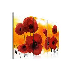 Tavla Sunny Afternoon And Poppies 120x80 sp. z o. TM-N3200-DKX