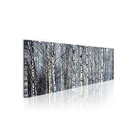 Tavla Vita Björkar 120x40 sp. z o. TM-N1220