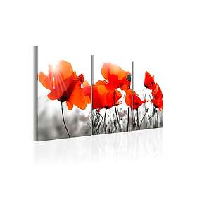 Tavla Charming Poppies 60x30 sp. z o. TM-N6455