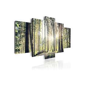Tavla Forest Temple 200x100 sp. z o. TM-N4396-DKX