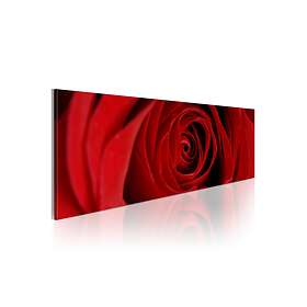Tavla Midnight Rose 120x40 sp. z o. TM-N1244