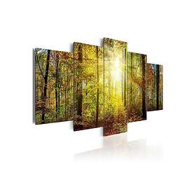 Tavla Mystical Forest 100x50 sp. z o. TM-N4285