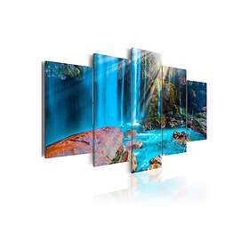 Tavla Treasures Of Nature 100x50 sp. z o. TM-N6362