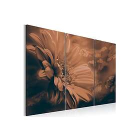 Tavla Intangible Beauty 60x40 sp. z o. TM-N2390