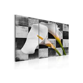 Tavla Callas 120x80 Artgeist sp. z o. TM-N2365-DKX