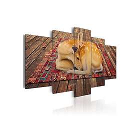 Tavla Domestication 5 Pieces 200x100 sp. z o. TM-N2316-DKX