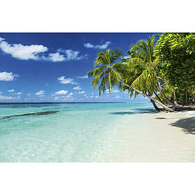 Dimex Tapet Paradise Beach 375x250 cm MS-5-0215