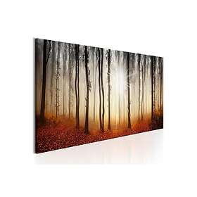 Tavla Autumnal Fog 120x40 sp. z o. TM-N6536