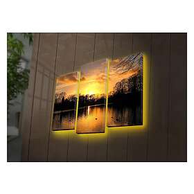 Dekorativ Canvasmålning LED-belysning 3 Delar Flerfärgad 254LED4277