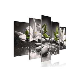 Tavla Lilies And Stones 5 Parts Wide Grey 200x100 sp. z o. TM-N7976-DKX