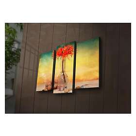 Dekorativ Canvasmålning LED-belysning 3 Delar Flerfärgad 254LED3225