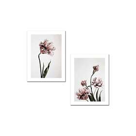 Dekorativ MDF-målning 2 Delar Flerfärgad 264ONN2101