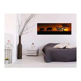 Tavla Elephant Family (Oransje) 150x50 sp. z o. TM-N7894-DK150