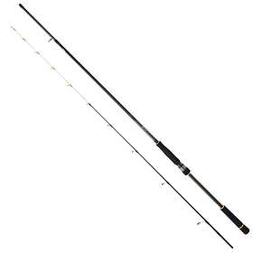Daiwa Bg Tenya Game Bottom Shipping Rod 2,40 m / 10-42g
