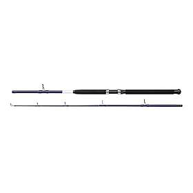 Shakespeare Salt Boat Spinning Rod Blå 1,80 m / 30-50 Lbs