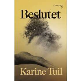 Karine Tuil: Beslutet