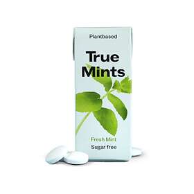 True Gum Mints Fresh Mint 13g