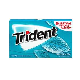 Trident Wintergreen Gum 31g